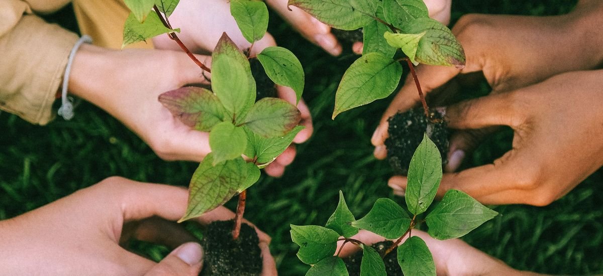 La Classe dans la Forêt — Programme de 5 Jours