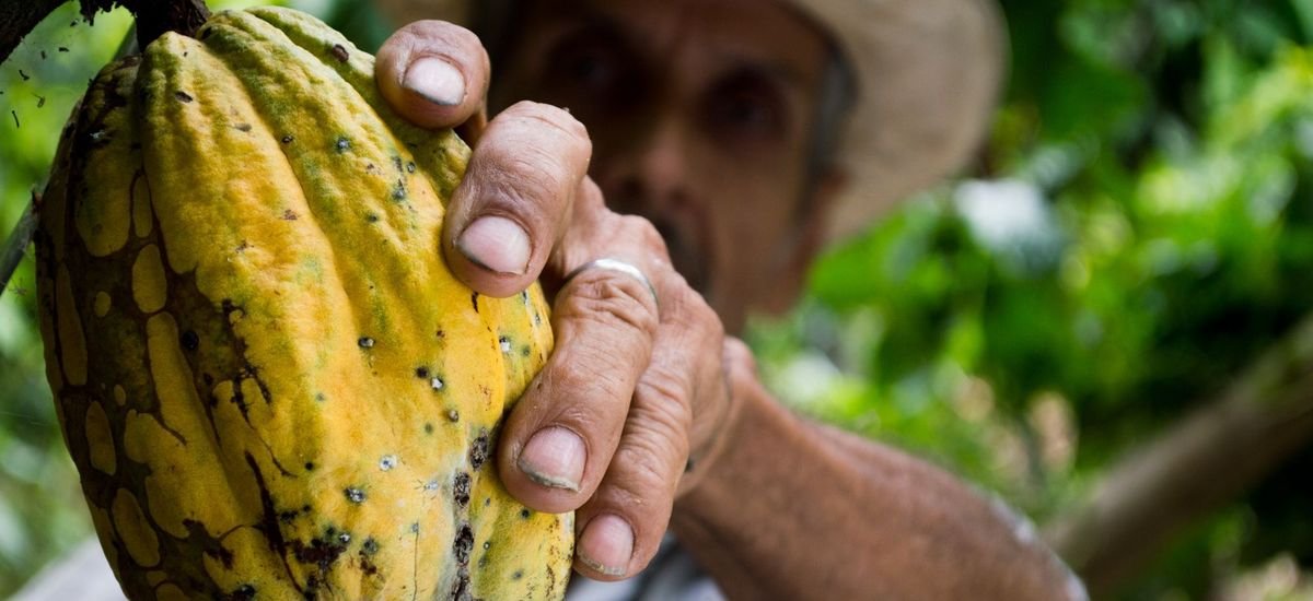 Science, Fermes et Volcans — Expédition de 7 Jours