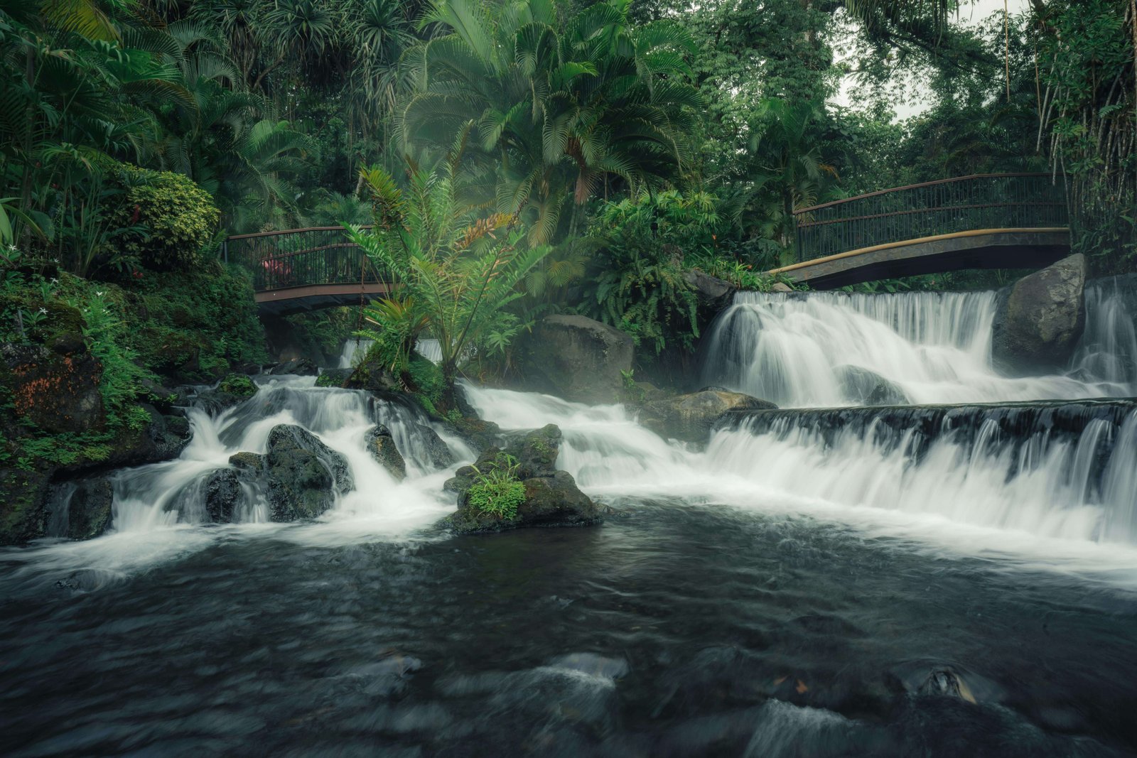 Arenal Volcano & Hot Springs Private Tour - 2