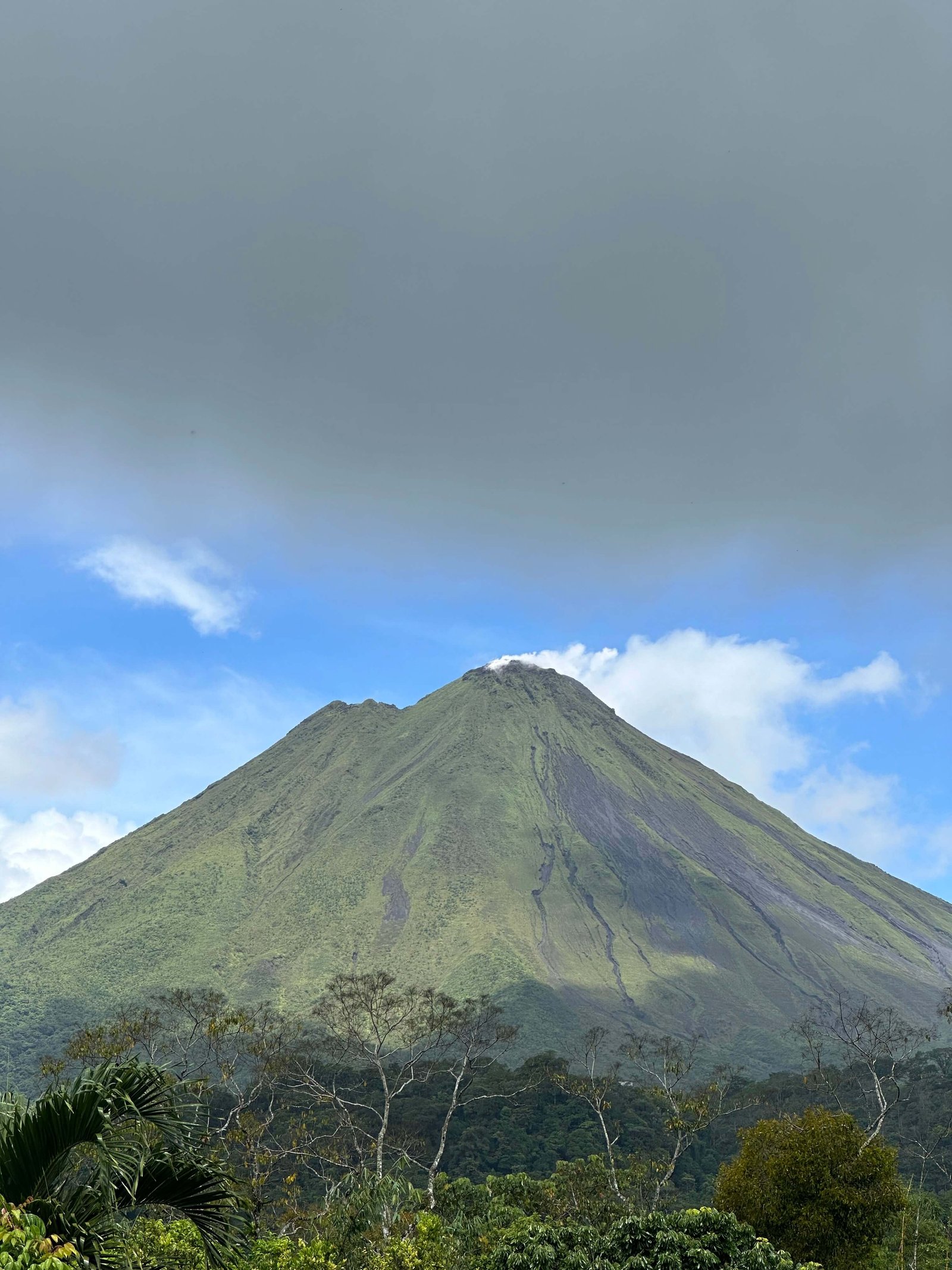 Tour Privado Volcán Arenal y Aguas Termales