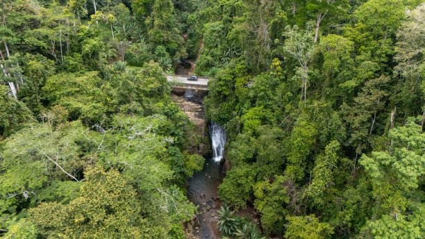 Côté Caraïbes 8 Jours - 1