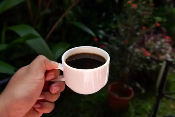 Tour de Café Medio Día - 1