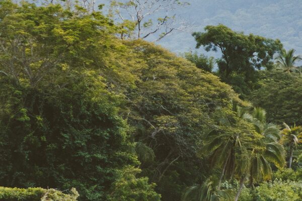Costa Rica Completa