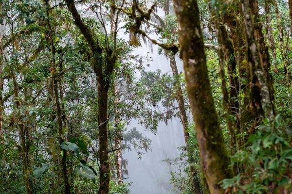 Inmersión Ecológica