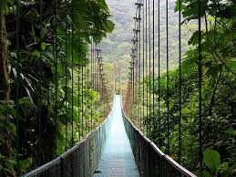Bosque Nuboso Monteverde