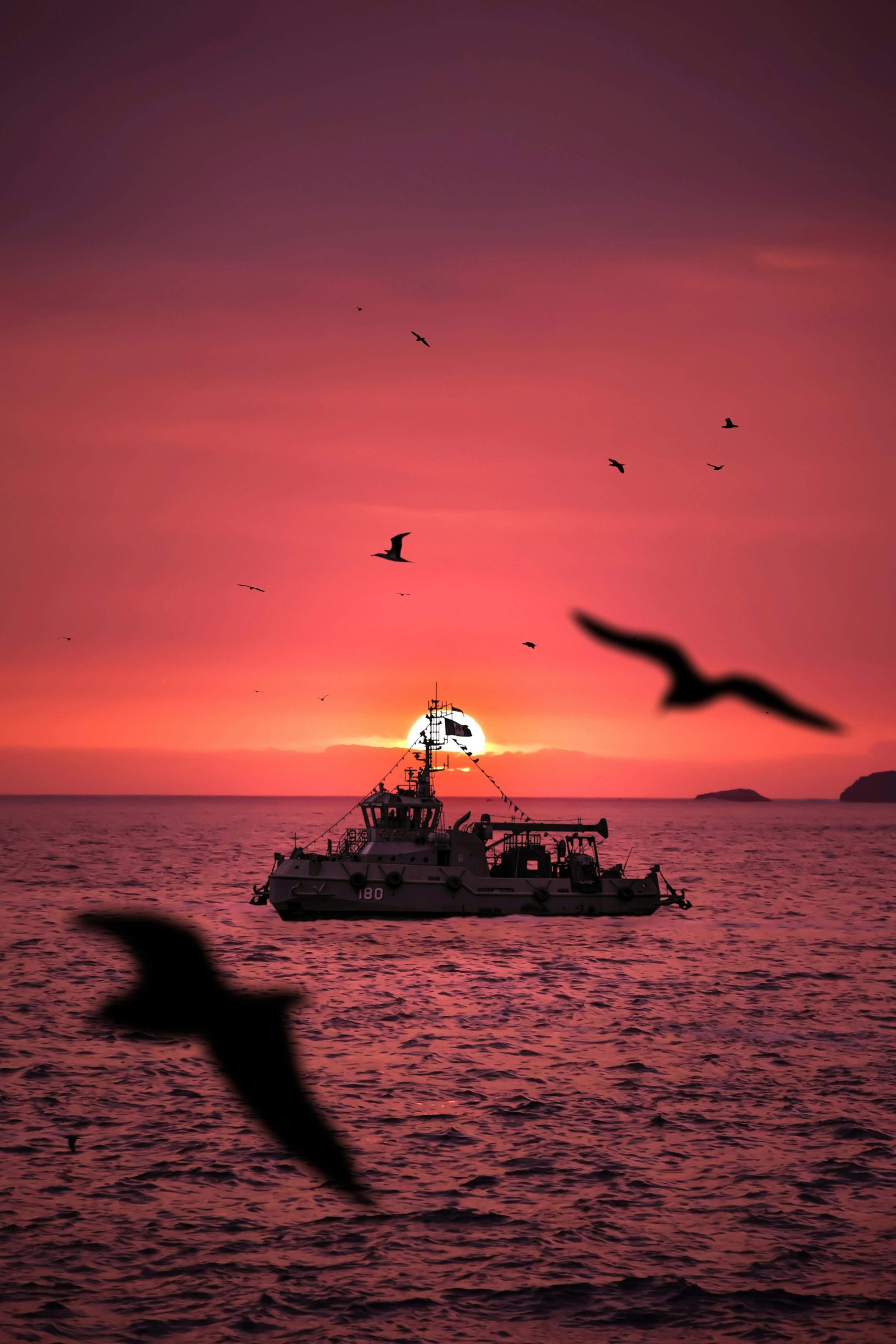 Pacific Coast 8 Days - 1