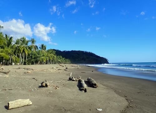 Côte Pacifique 8 Jours