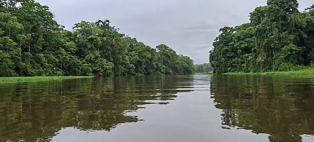 Parc National Tortuguero